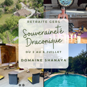 Publication Instagram de Motivation Quotidienne Dégradé Jaune Vert (8)